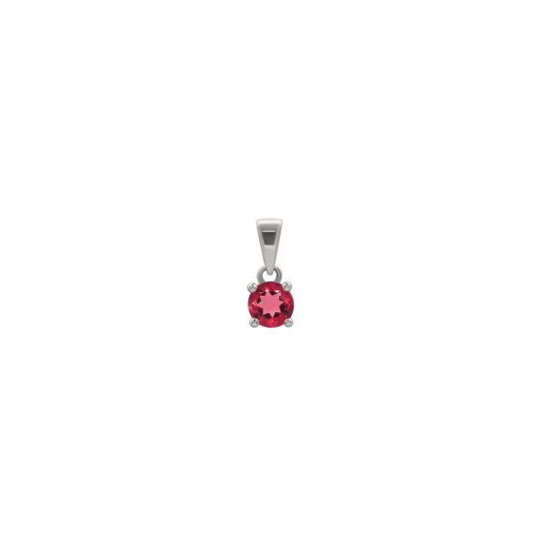 Pendants Only - Birth Stones  (silver Pendant)