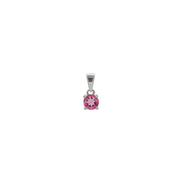 Pendants Only - Birth Stones  (silver Pendant)